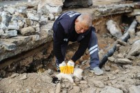 Hafriyat Altina Sikisan Kedi Kalp Masaji Uygulanarak Hayata Döndürüldü
