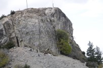 Kayip Genç Kale Surlarinin Dibinde Ölü Bulundu