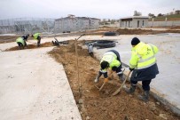 Çayirova Millet Bahçesine Bin 500 Agaç