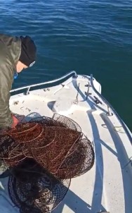 Egirdir Gölü'nde 500 Adet Kerevit Sepeti Ele Geçirildi