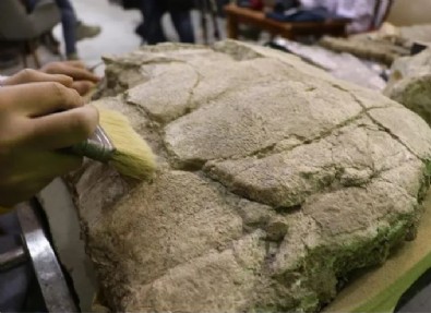 O ilimizde bulundu… Tam 7.5 milyon yıl yaşında!