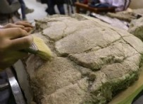 O ilimizde bulundu… Tam 7.5 milyon yıl yaşında!