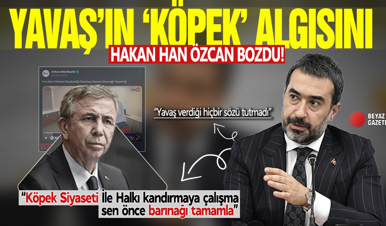 Yavaş'ın 'köpek' algısını Hakan Han Özcan bozdu! 'Köpek siyaseti ile halkı kandırmaya çalışma sen önce barınağı tamamla'