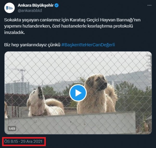 Yavaş'ın 'köpek' algısını Hakan Han Özcan bozdu! 'Köpek siyaseti ile halkı kandırmaya çalışma sen önce barınağı tamamla'