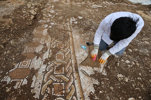 Mardin'de Roma dönemine ait villa kalıntısı'nda deniz canlıları figürlü mozaikler bulundu: Bu bölgede bir ilk