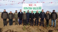 Burdur'da Valilik 100'Üncü Yil Hatira Ormani'nda Bin Fidan Toprakla Bulustu