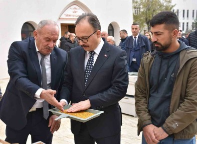 Siirt'te Aricilara Bin 50 Adet Polen Tuzakli Kovan Dagitildi