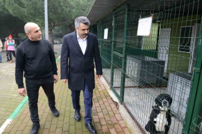 Yildirim'da Can Dostlara Sefkat Eli