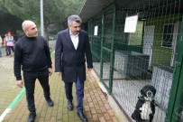 Yildirim'da Can Dostlara Sefkat Eli