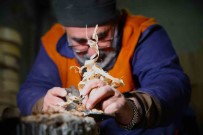 Ekmek Teknesinde 25 Yildir Ahsaba Sekil Veriyor