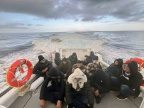 Mugla'da 15 Günde 13 Insan Taciri Tutuklandi