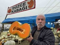 Ünlü Bal Kabagi Tezgaha Indi