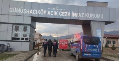 Amasya’da Mercek-2 operasyonunda 58 kişi yakalandı