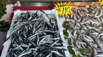 Firtinanin Ardindan Hamsi 110 Liraya Yükseldi