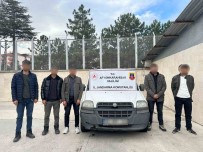 Jandarma 5 Düzensiz Göçmen Yakaladi