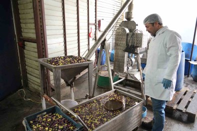 (Özel) Sifir Atik Ile Zeytinyagi Üretimi Yapti