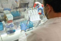 Dünya Siralamasinda Yükselisi Sürüyor