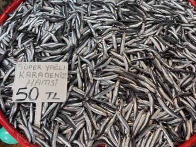 Marmara Hamsisinden Sonra Karadeniz Hamsisinde De Bolluk Yasaniyor
