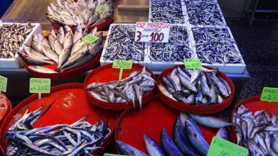 Karadeniz'de Son 25 Yilin En Bereketli Günü