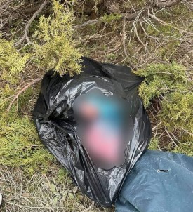 Tunceli'de Kaçak Avcilik Yapan 2 Sahsa 308 Bin Lira Ceza Kesildi