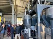 Vali Aktas, Antepfistigi Isleme Ve Paketleme Tesisinde Incelemelerde Bulundu