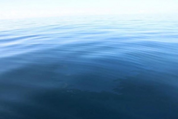 Rize'de petrol rüyası gerçek oldu! Günde 1 ton petrol denizin yüzeyine çıkıyor