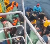 Kusadasi'nda Denizde Can Pazari