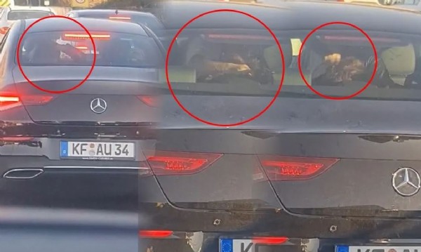 İstanbul’da dehşet anları! Trafikte eşini dakikalarca darp etti: O anlar kamerada!