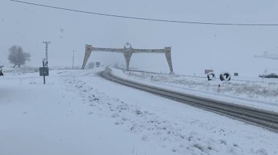 Karliova'da Beklenen Kar Yagdi, Ilçe Tamamen Beyaza Büründü