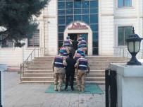 Düzensiz Göçmen Organizatörü 5 Kisi Tutuklandi