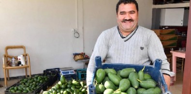 Hasadı tam 150 bin lira: Çiftçilerin yeni gözdesi!