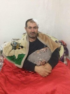 Tosunlarin Saldirisina Ugrayan Adam Ölümden Döndü