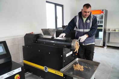 Yalova Altinova'da Yemek Atiklari Sokak Hayvanlarina Mama Oluyor