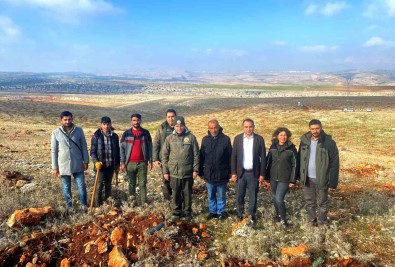 Besni Kaymakami Partal Dikilen Fidanlari Inceledi