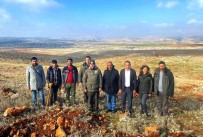 Besni Kaymakami Partal Dikilen Fidanlari Inceledi