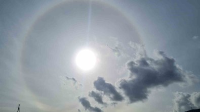 Bodrum'da Hale Ortaya Çikti