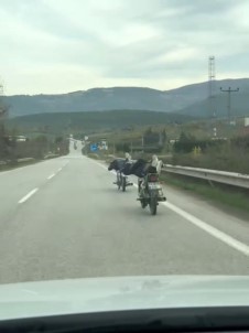 Ölümle Böyle Dans Ettiler Açiklamasi Motosikletin Üzerinde Tehlikeli Yolculuk
