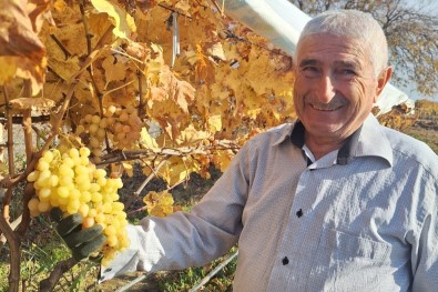 Yaz Meyvesi Üzümü Yilbasi Aksaminda Tüketecek