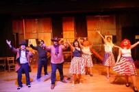 'Hos Geldin Amerika'Da Talihsiz Kaza