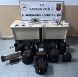 Samsun'da Silahli Terör Örgütüne Üye 9 Sahis Ile Aranmasi Bulunan 510 Sahis Yakalandi