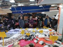 Bu Sezon Ilk Açiklamasi Kilosu 25 TL'ye Düsen Hamsi Kapis Kapis Gitti