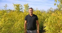 Hobi olarak balkonda başladı! Şimdi 5 dönüm arazide devam ediyor