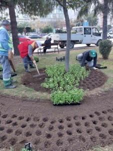 Ilkadim'a 100 Bin Mevsimlik Çiçek
