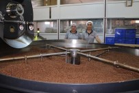 Gün Bahane, Kutlamasi Sahane