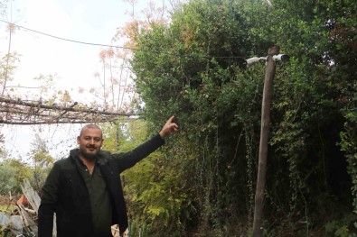 50 Tavugu Ortadan Kaybolan Adam, Gerçegi Kamera Görüntülerini Izleyince Fark Etti