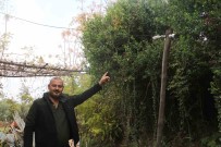 50 Tavugu Ortadan Kaybolan Adam, Gerçegi Kamera Görüntülerini Izleyince Fark Etti