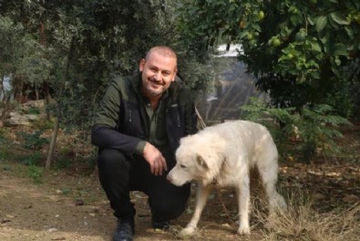 Hatay'da 50 tavuğu kayboldu! Gizemi güvenlik kamerası çözdü...
