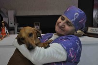 Azmetti, 57 Yasinda Üniversite Mezunu Oldu