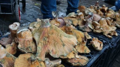 Çintar Et Fiyati Ile Yarisiyor