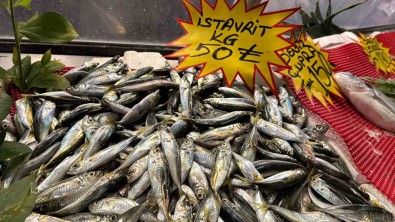 Istavrit 50 Liradan Tezgaha Indi